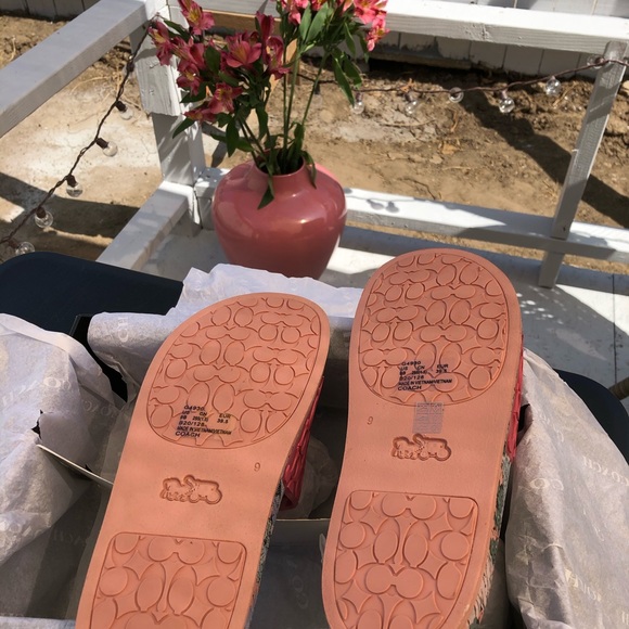 Coach Slides - Picture 4 of 7